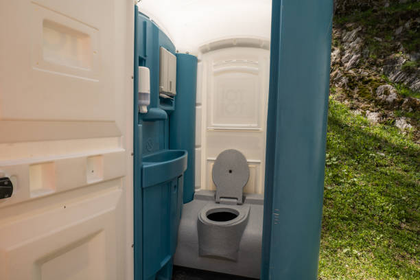 Best Sanitation services for porta potties  in Lake Crystal, MN